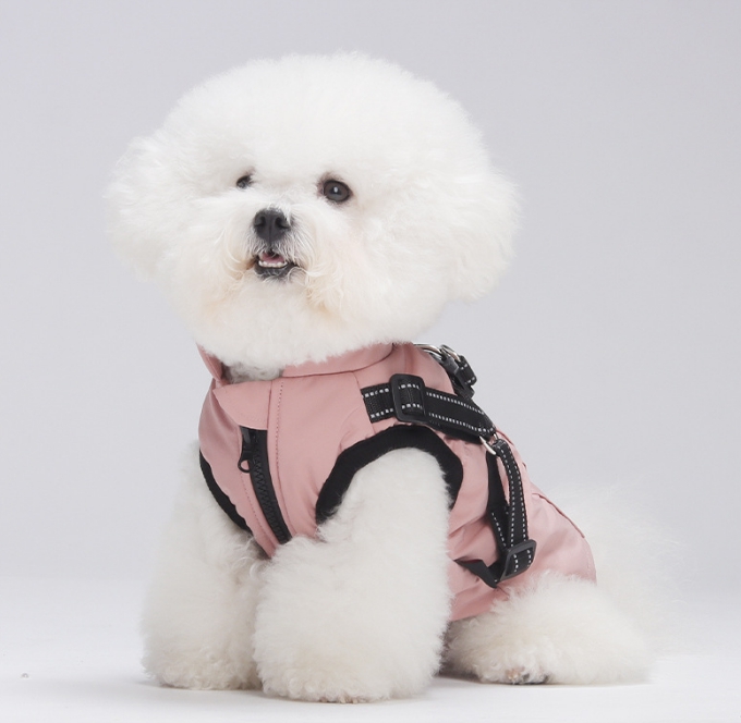 Pet clothes / Coat（F3761A-U3669）