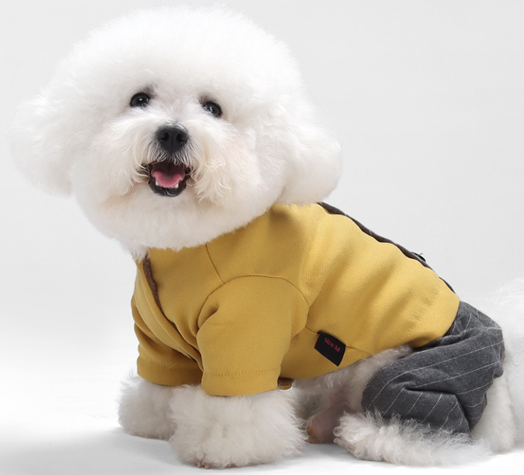Pet clothes / Coat（F3761E-U3674